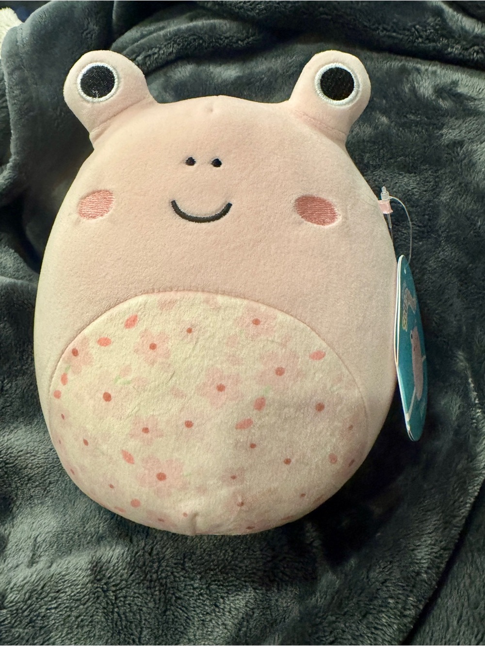 Plush Pink Frog Squishmallows - Kids